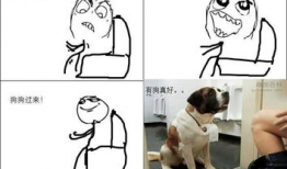 doumou漫画,奇幻冒险之旅，探寻未知世界的奥秘