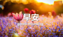 早安晨曲短视频,共赴美好新一天——早安晨曲短视频赏析